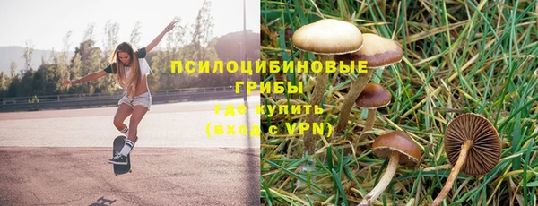 стафф Володарск