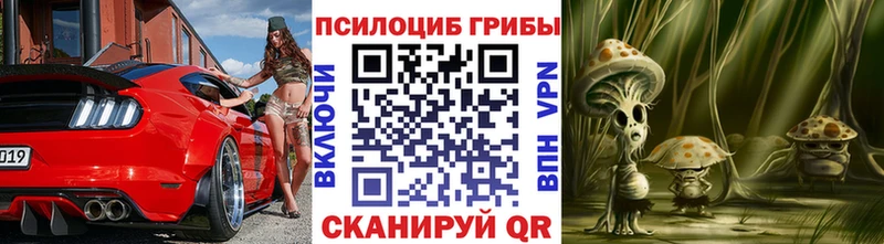 ОМГ ОМГ ТОР  Спасск  Псилоцибиновые грибы Psilocybine cubensis  сколько стоит 